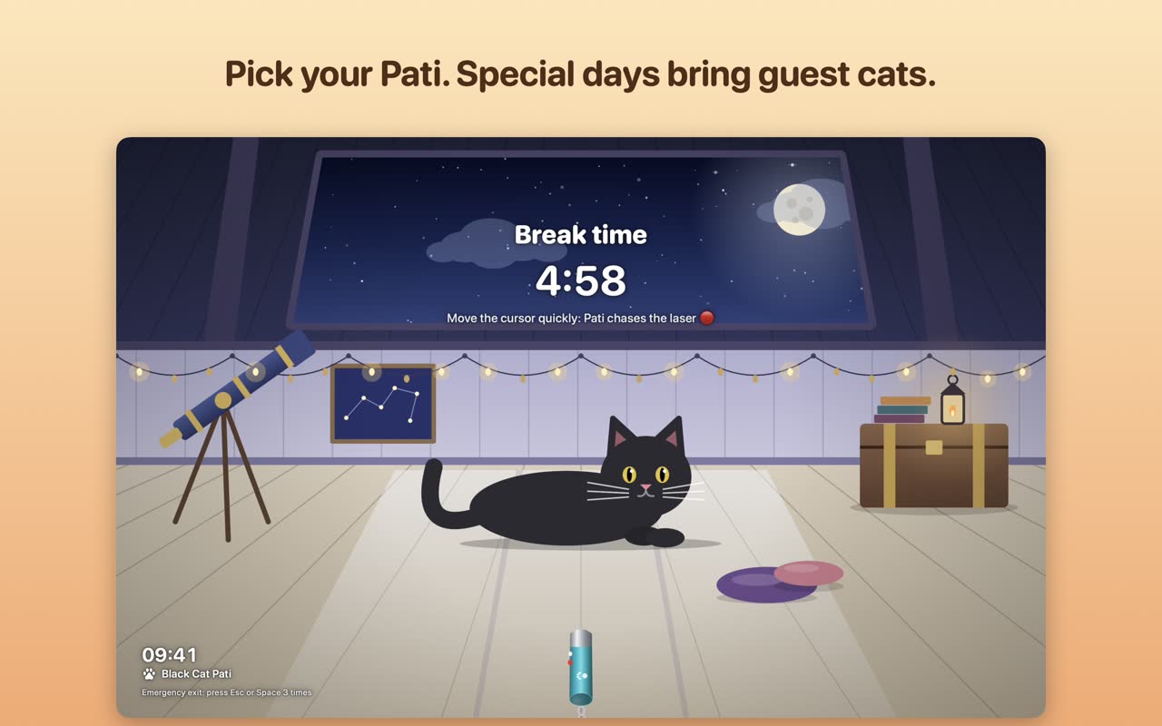 Black cat in a night scene